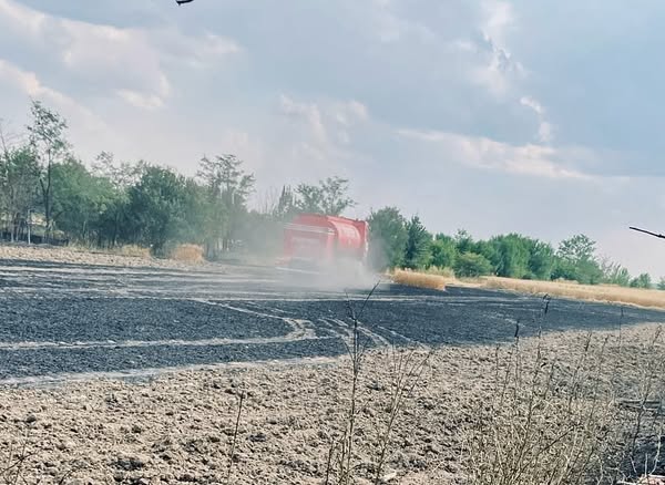Incendiu de vegetație la Săbăreni