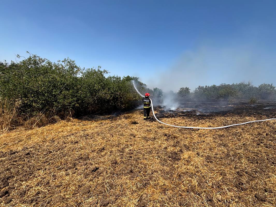 Tot mai multe incendii de vegetație