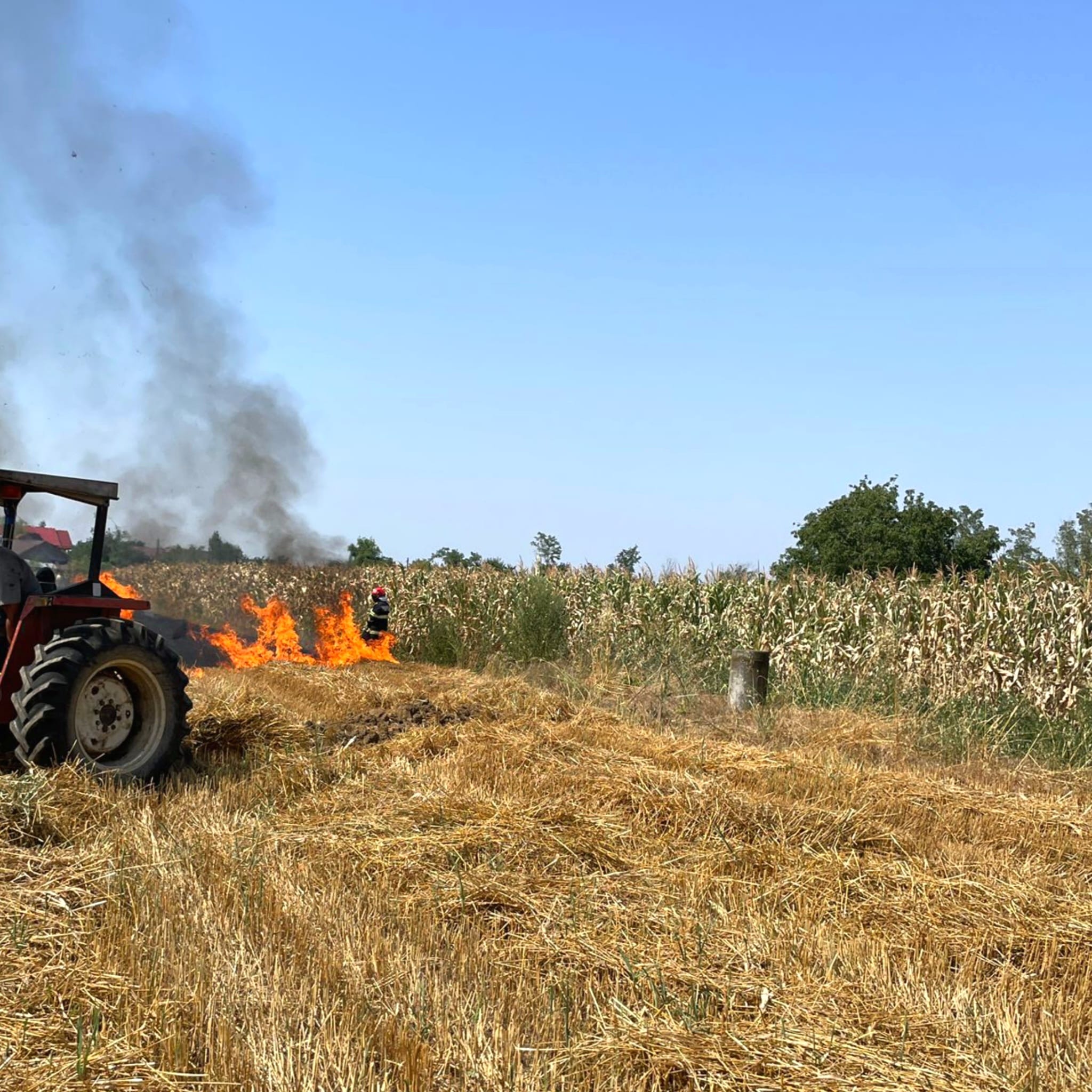 Un incendiu de vegetație uscată a pus în pericol o locuință și culturi agricole