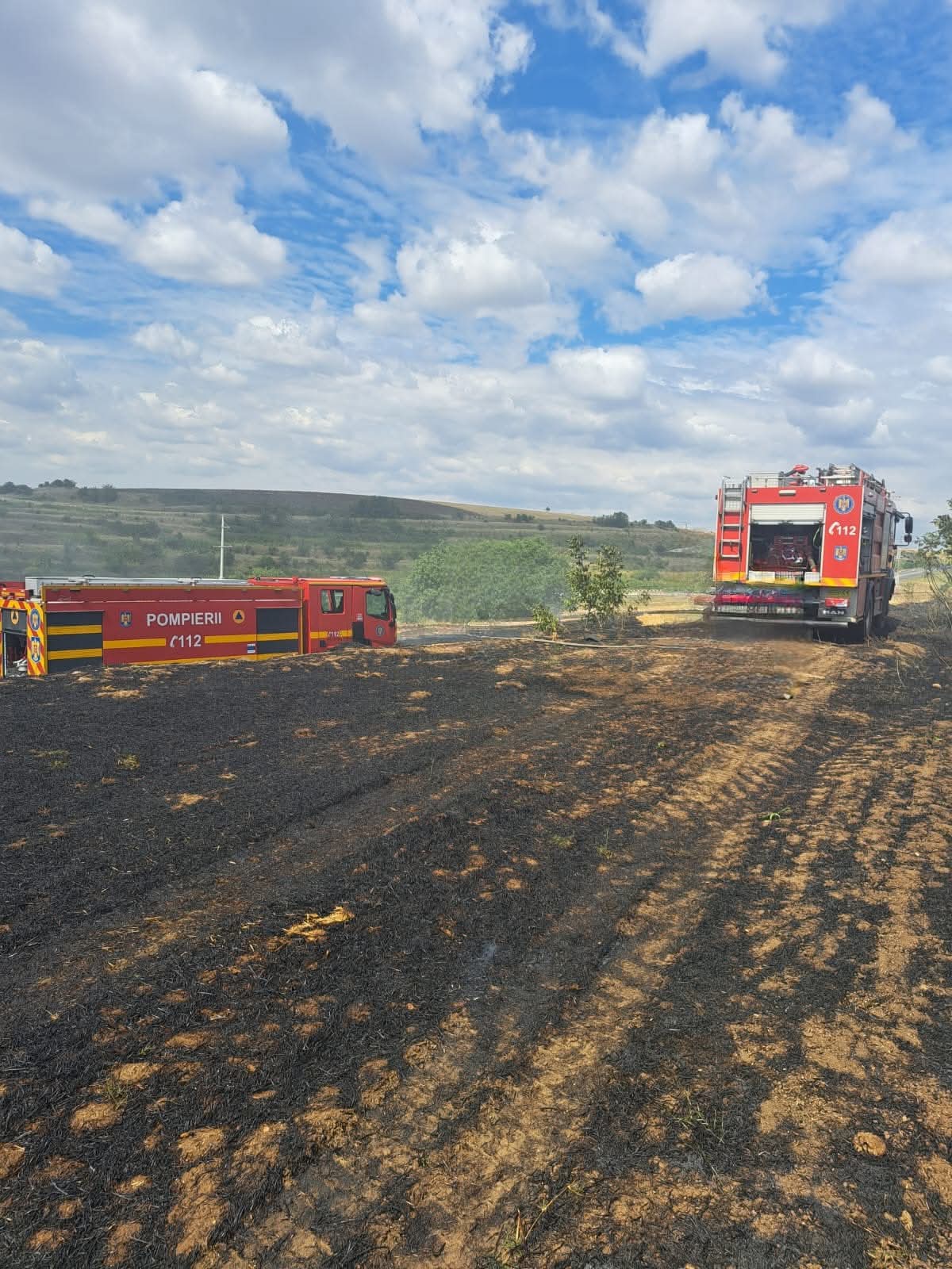 În sprijinul comunității: intervenții pentru stingerea incendiilor de vegetație