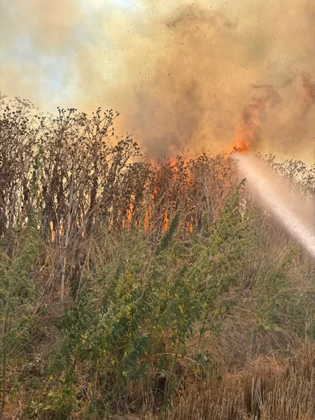 Un foc în aer liber lăsat nesupravegheat a pus în pericol mai multe case