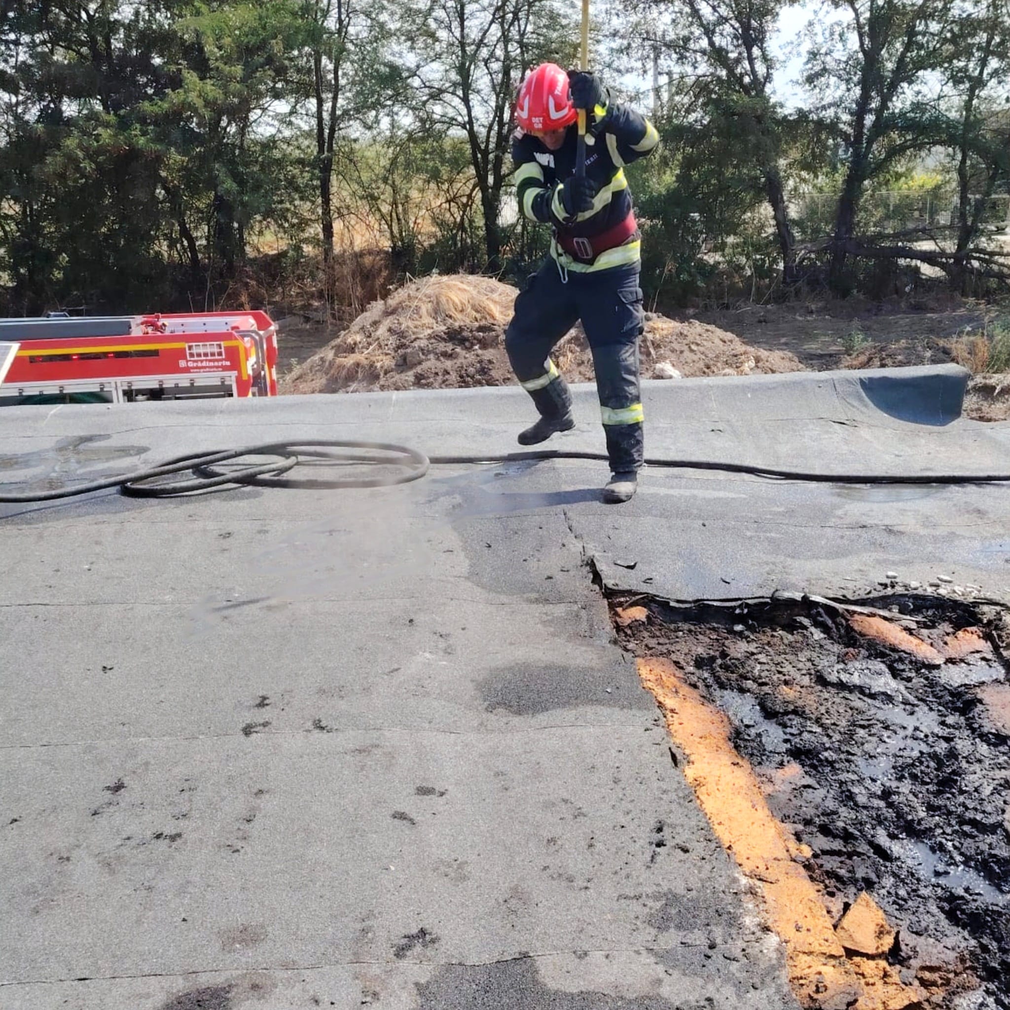 Incendiu la o hală de pui din Braniștea – 18.000 de păsări salvate