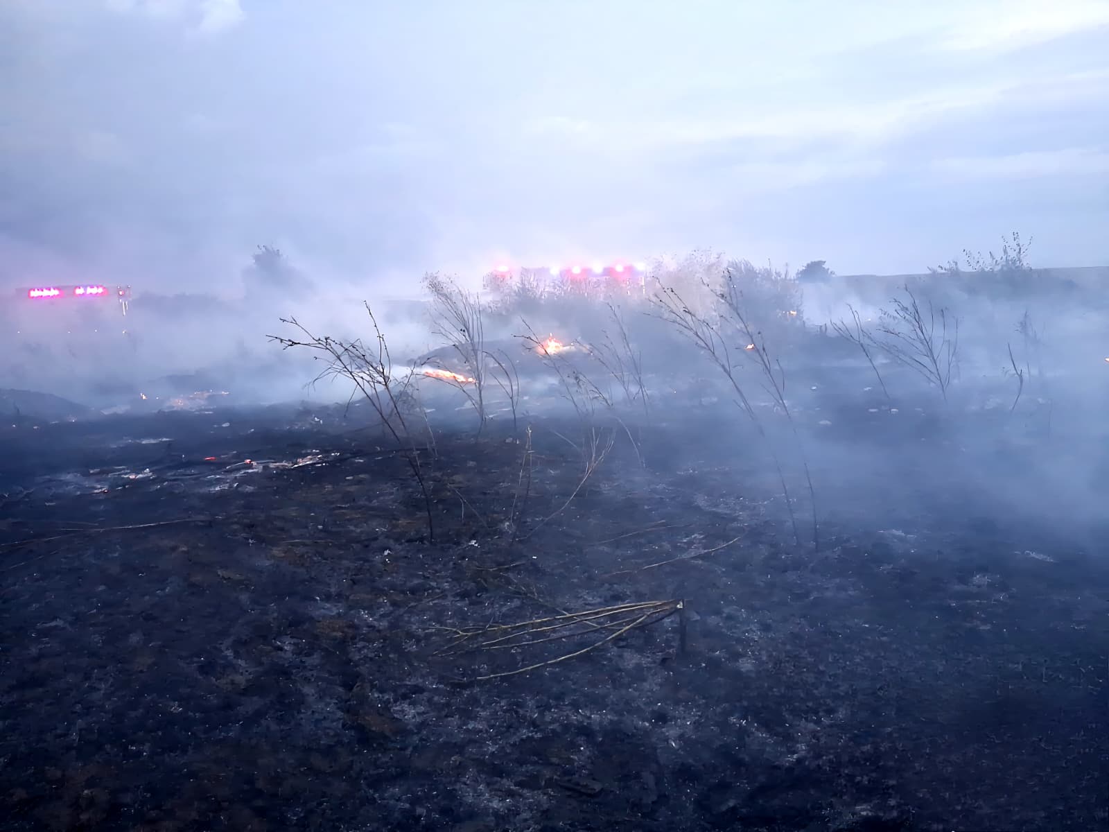 Incendii de vegetație uscată și miriște în ultimele ore