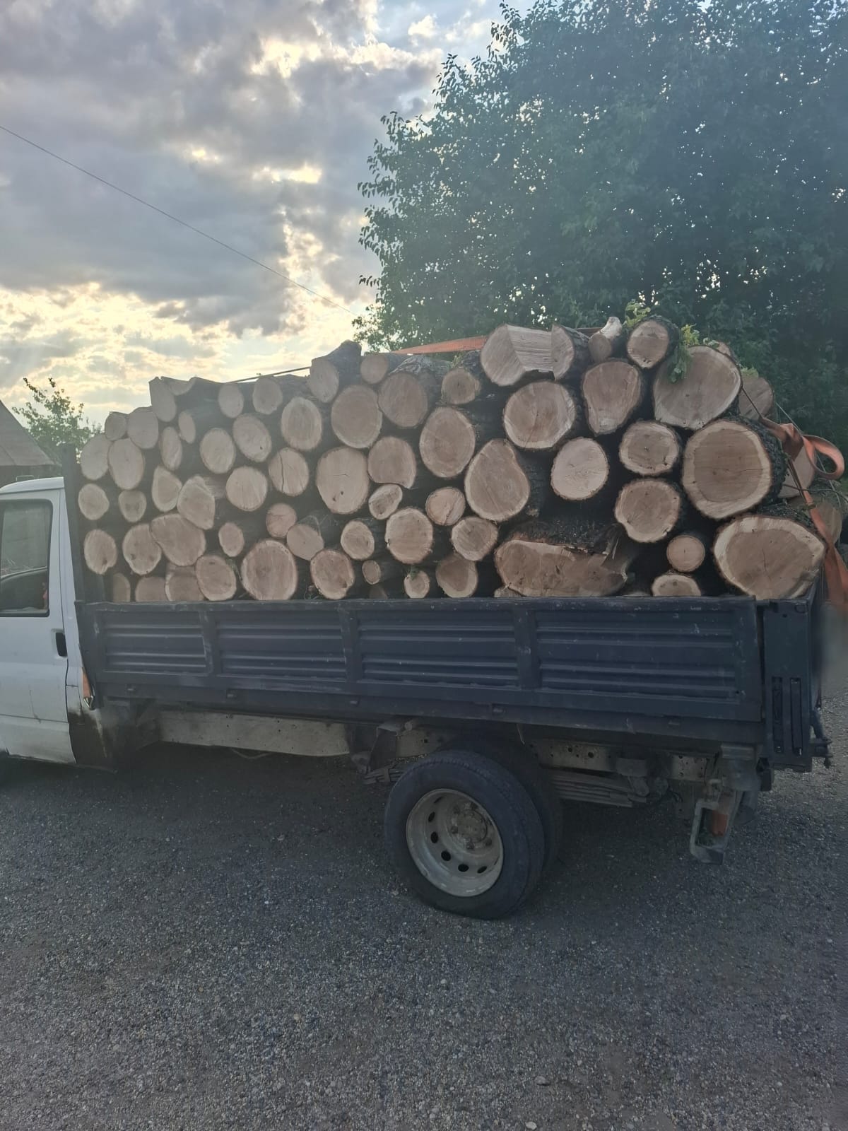 Material lemnos, confiscat de polițiștii giurgiuveni