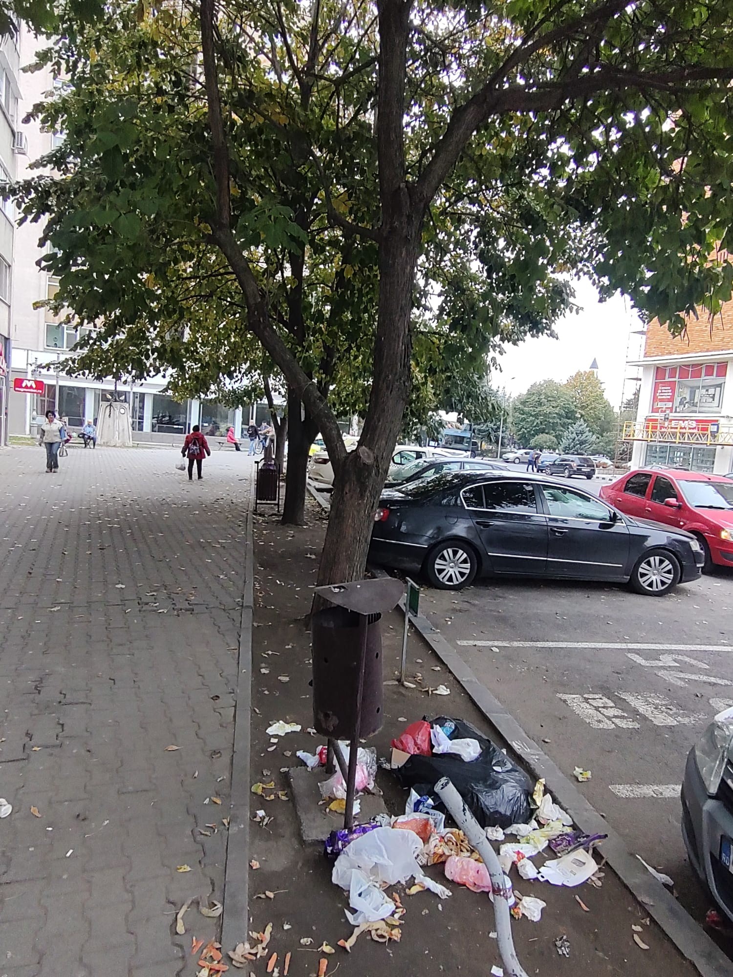 Coșurile de gunoi stradale golite la 6 dimineața, pline din nou în câteva ore
