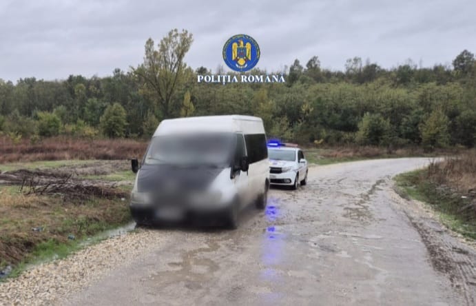 CERCETAȚI PENAL PENTRU TĂIEREA FARĂ DREPT DE ARBORI