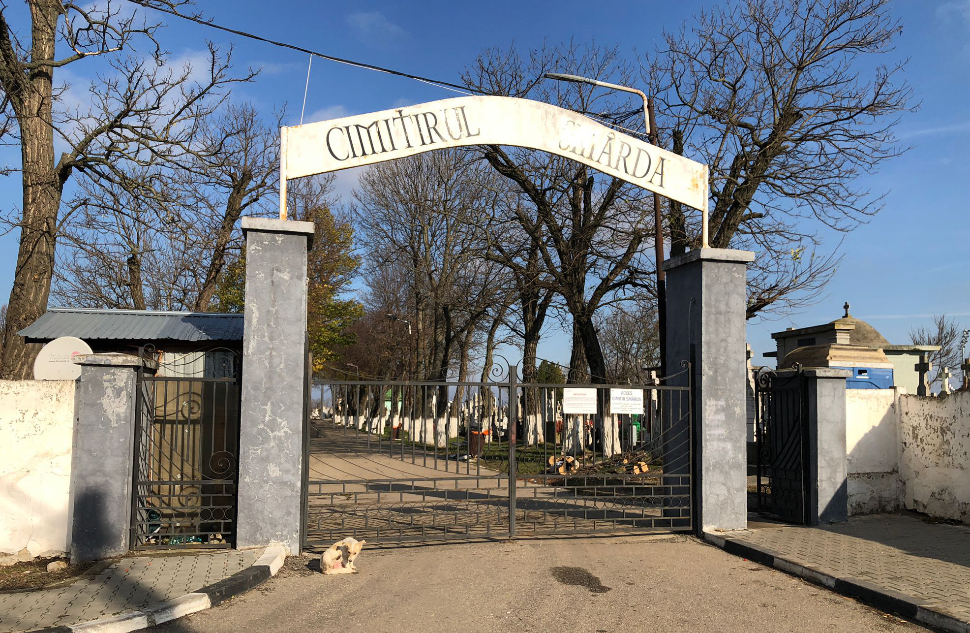 Anunț Giurgiu Servicii Locale