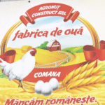 ”Fabrica de ouă” Comana