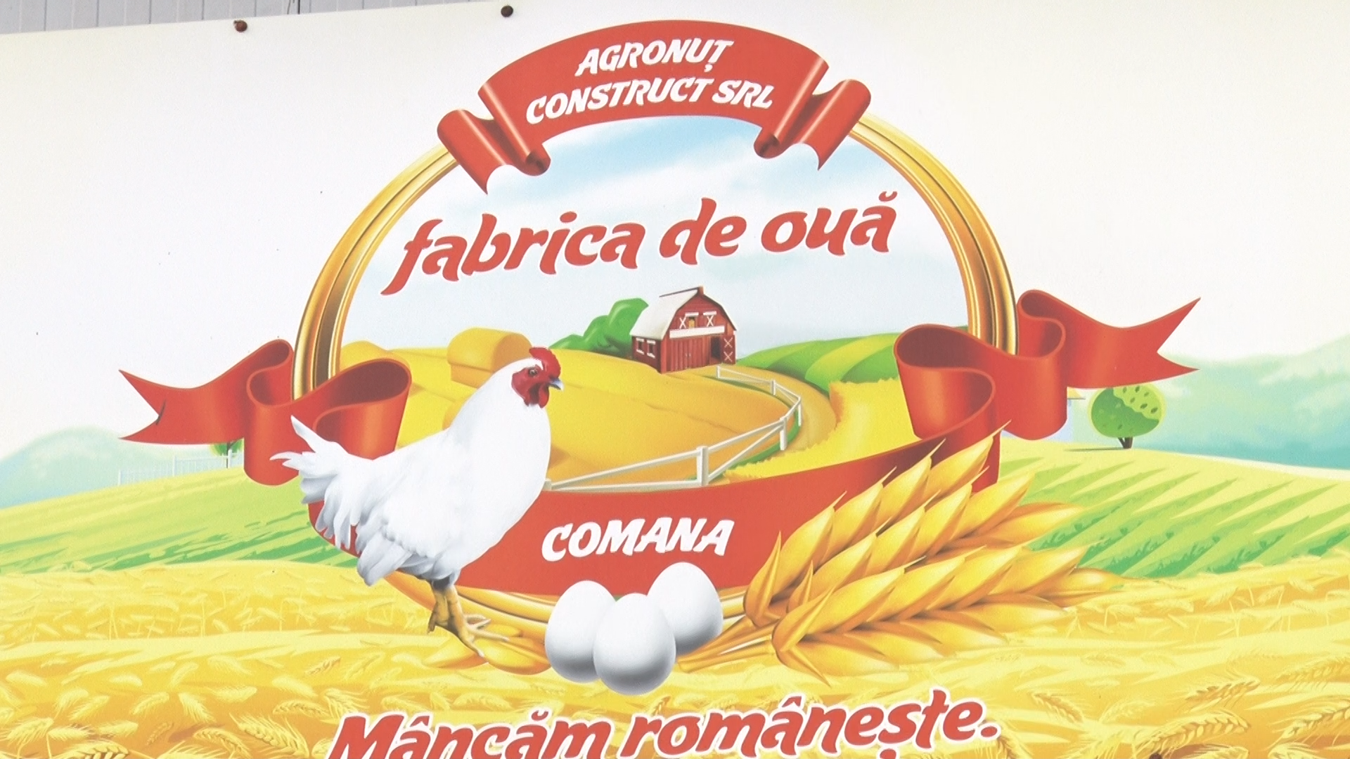 ”Fabrica de ouă” Comana