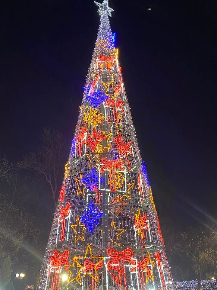 Start magic al sărbătorilor: iluminat ornamental și concerte, vineri în Parcul Alei