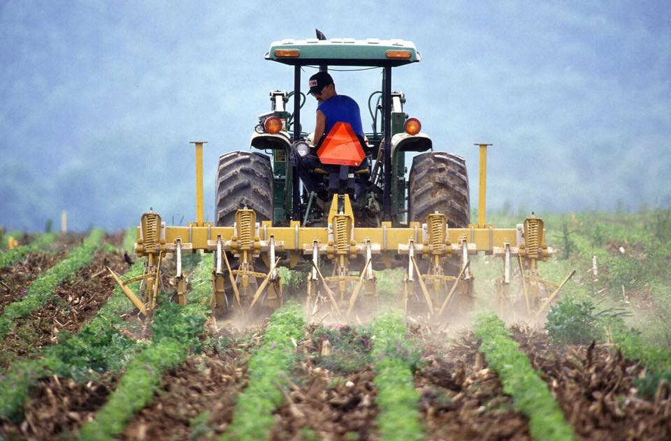 Uniunea Europeană crește sumele alocate pentru dezvoltarea rurală în viitorul buget