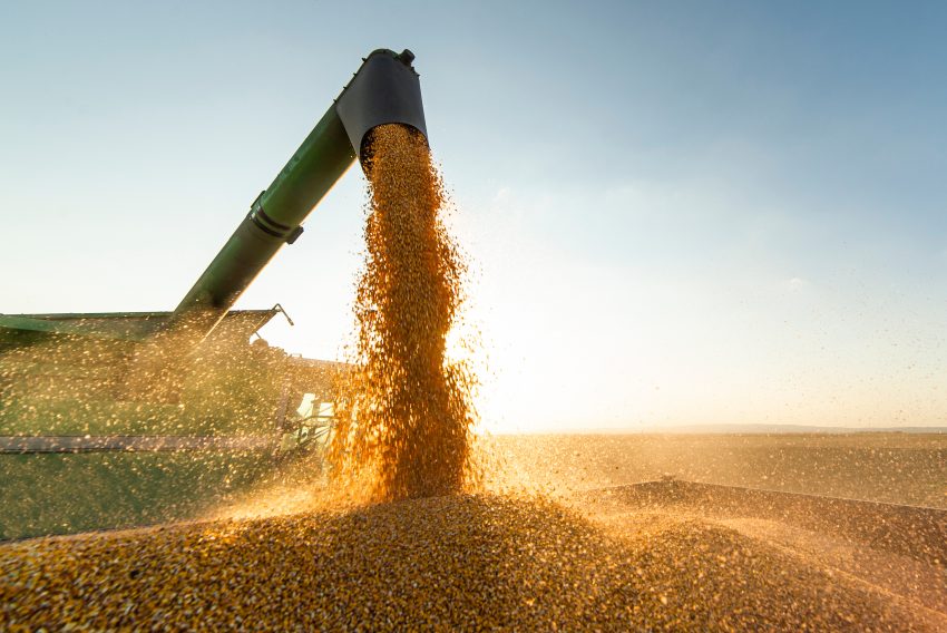 România folosește fonduri europene pentru sprijinirea fermierilor