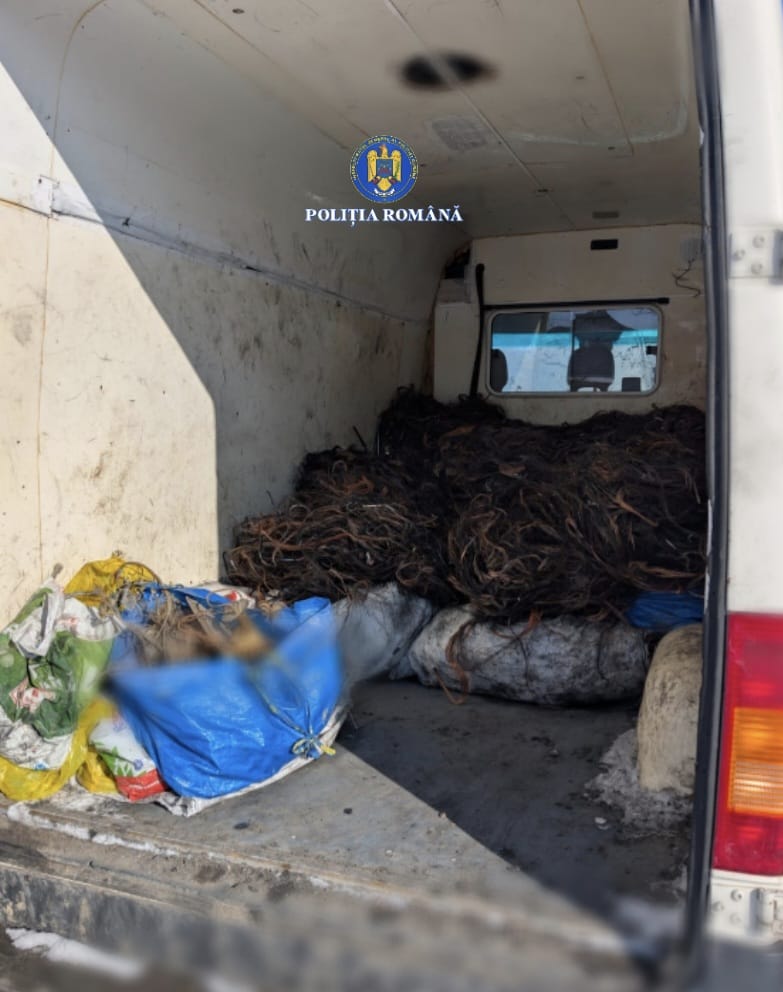 DOSAR PENAL PENTRU INCENDIEREA UNOR CONDUCTORI ELECTRICI DIN CUPRU