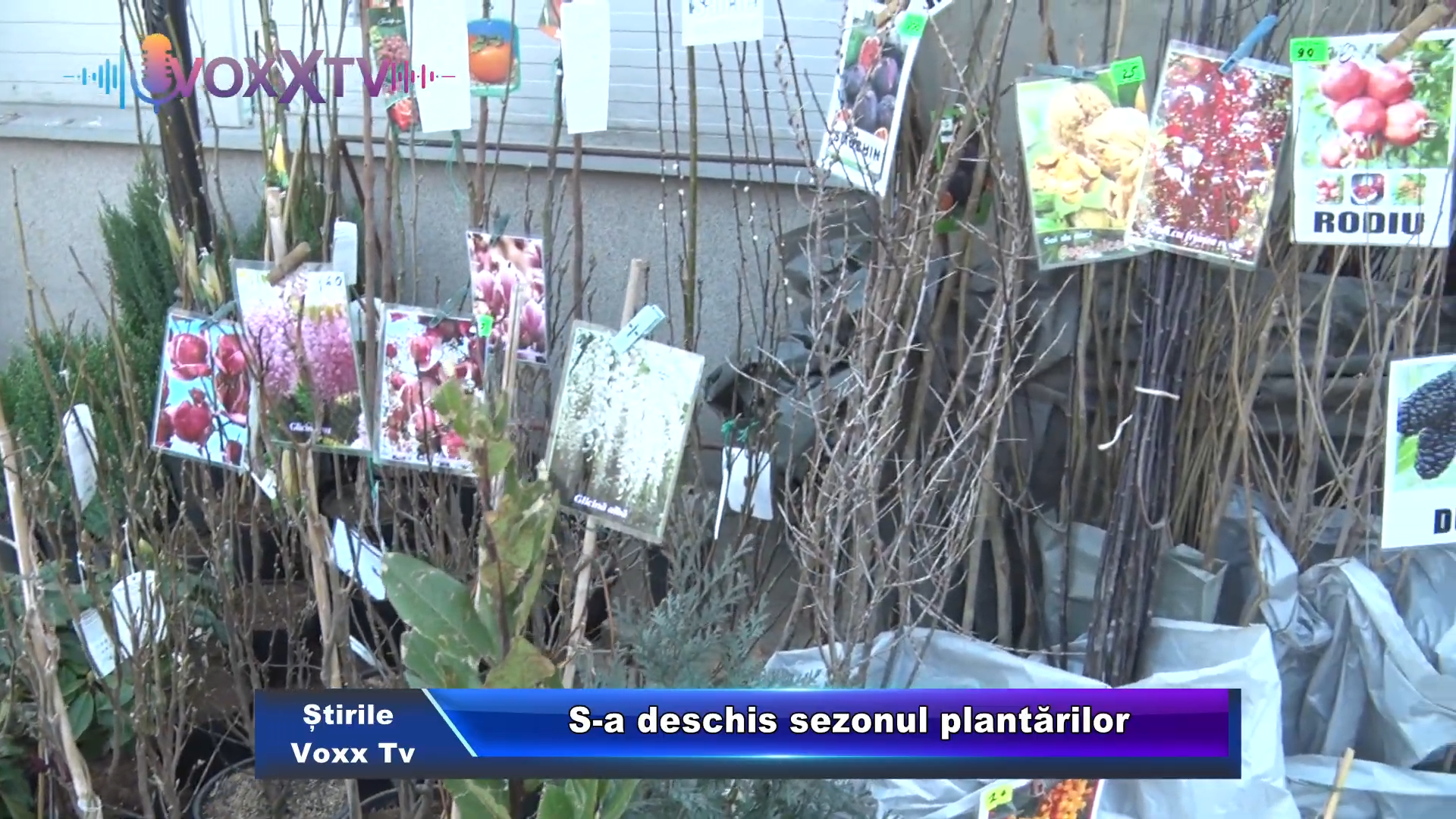 S a deschis sezonul plantărilor