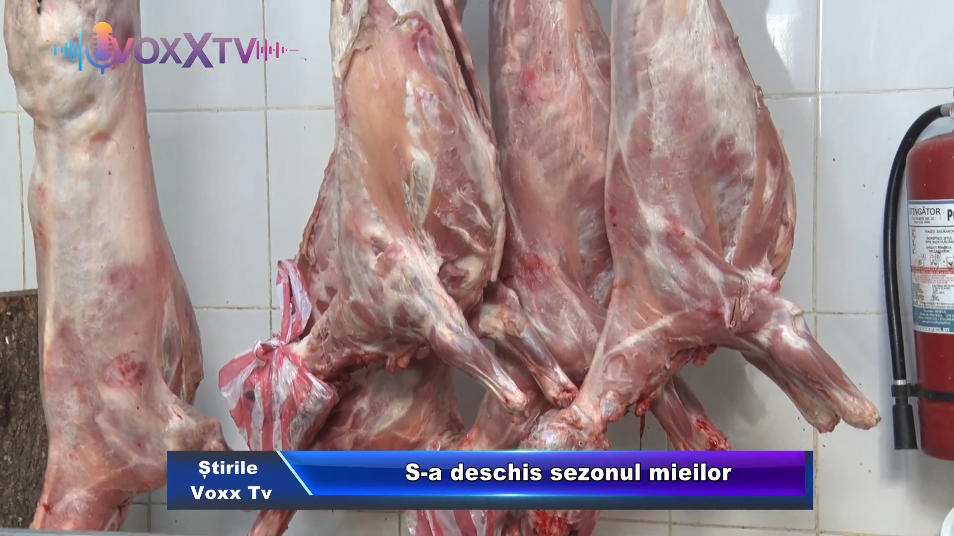 S a deschis sezonul mieilor