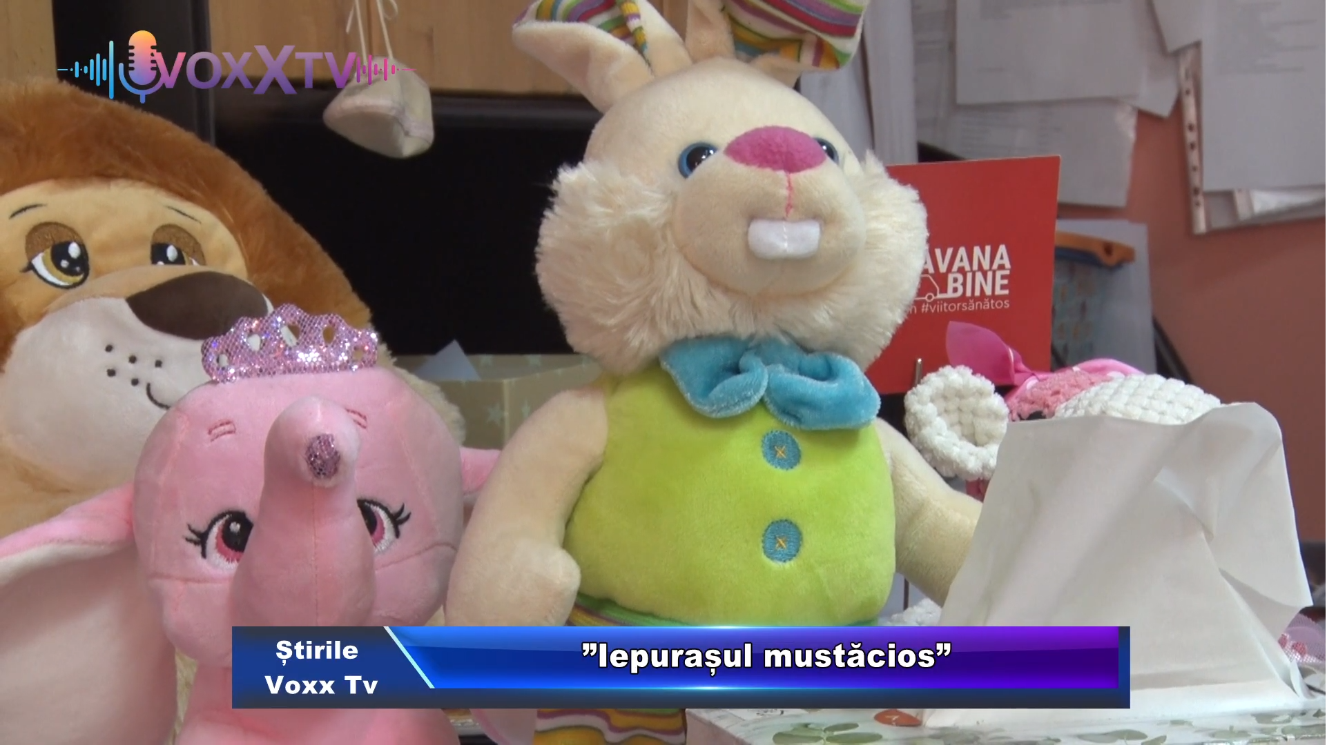 ”Iepurașul mustăcios”