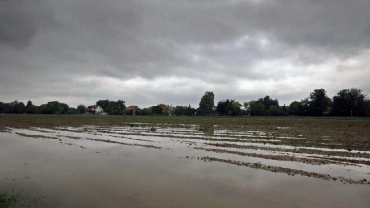 Cod Portocaliu de inundații pentru râul Neajlov